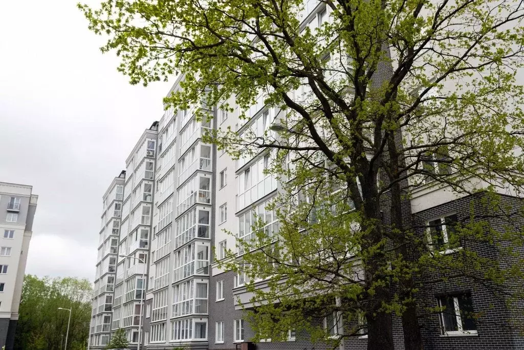 2-комнатная квартира: Калининград, Суздальская улица, 11В (57.9 м) - Фото 1