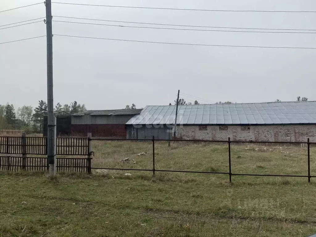 Склад в Курганская область, Кетовский муниципальный округ, с. ... - Фото 1