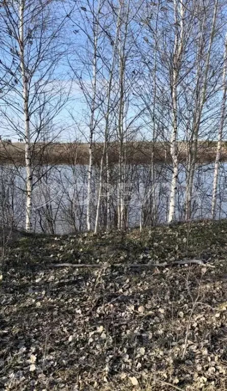 Участок в Тюменская область, Тюменский муниципальный округ, д. ... - Фото 2