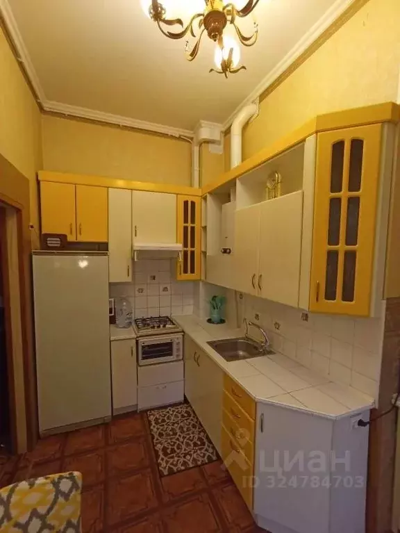 2-к кв. Санкт-Петербург, Санкт-Петербург, Пушкин Пушкинская ул., 13 ... - Фото 2