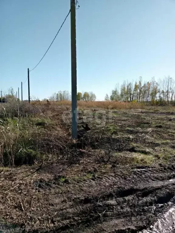 Участок в Ростовская область, Азовский район, Елизаветинское с/пос, ... - Фото 1