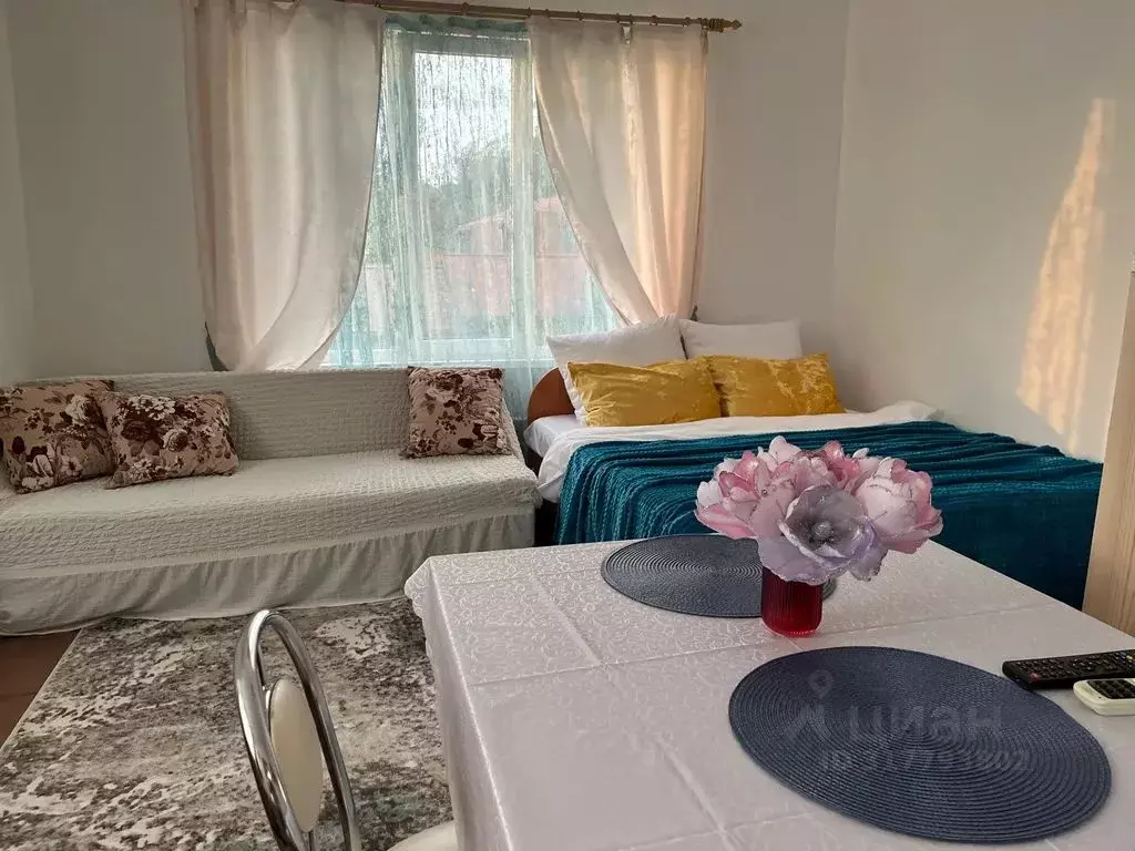 Студия Краснодарский край, Сочи ул. Просвещения, 170/6 (25.0 м) - Фото 0