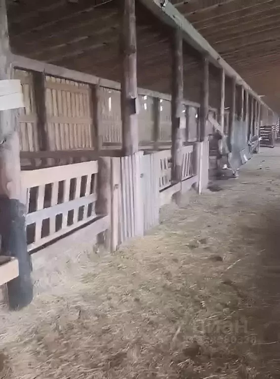 Дом в Ивановская область, Южский район, Мугреево-Никольское с/пос, с. ... - Фото 2