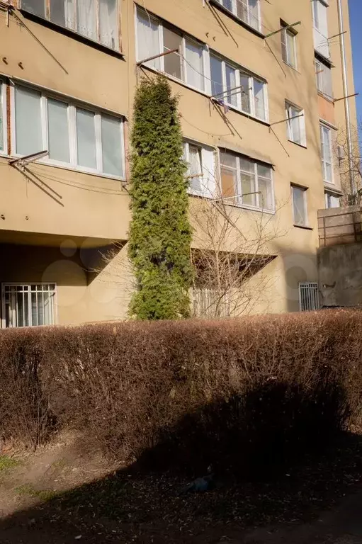 Продам офисное помещение, 235 м - Фото 1