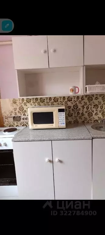 1-к кв. Иркутская область, Иркутск Спортивный пер., 5А (32.0 м) - Фото 1
