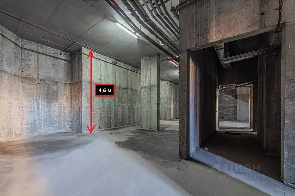 Помещение свободного назначения в Московская область, Дмитров ... - Фото 1