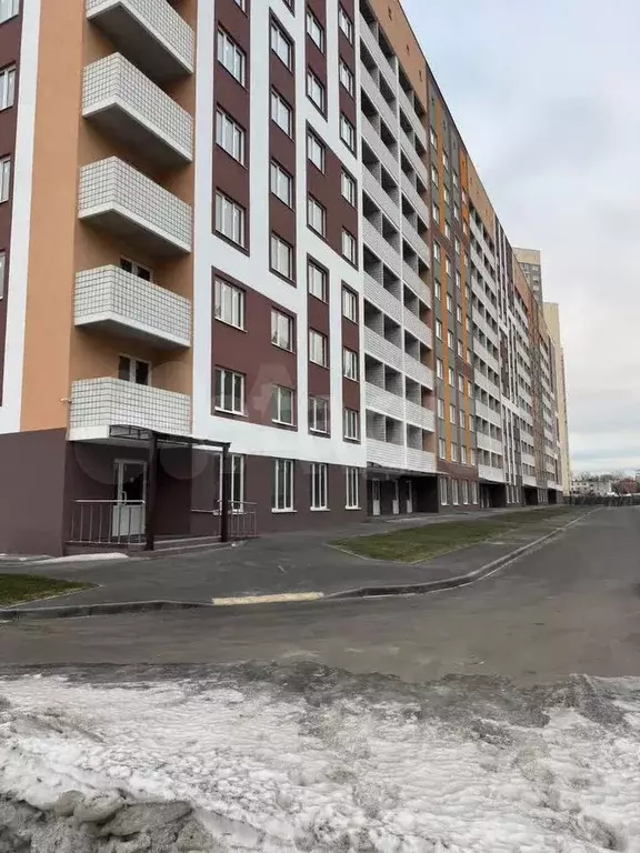 Сдам помещение свободного назначения, 60.8 м - Фото 0
