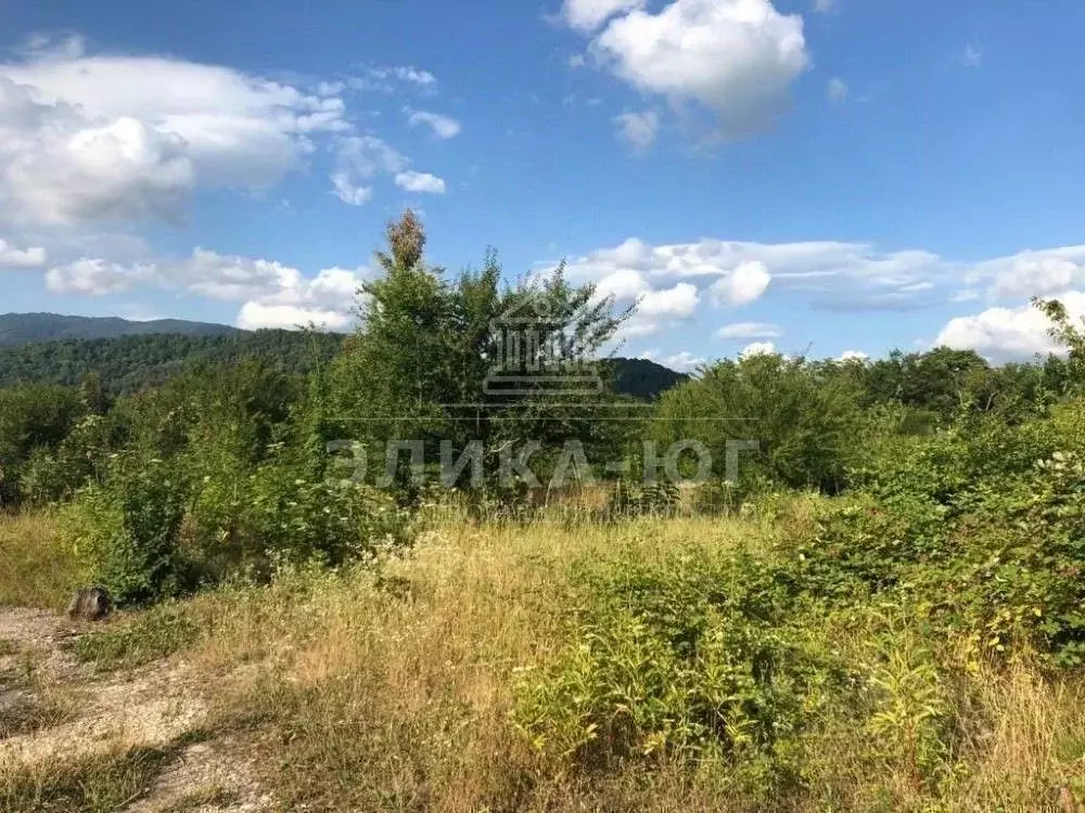 Участок в Краснодарский край, Туапсинский муниципальный округ, с. ... - Фото 1