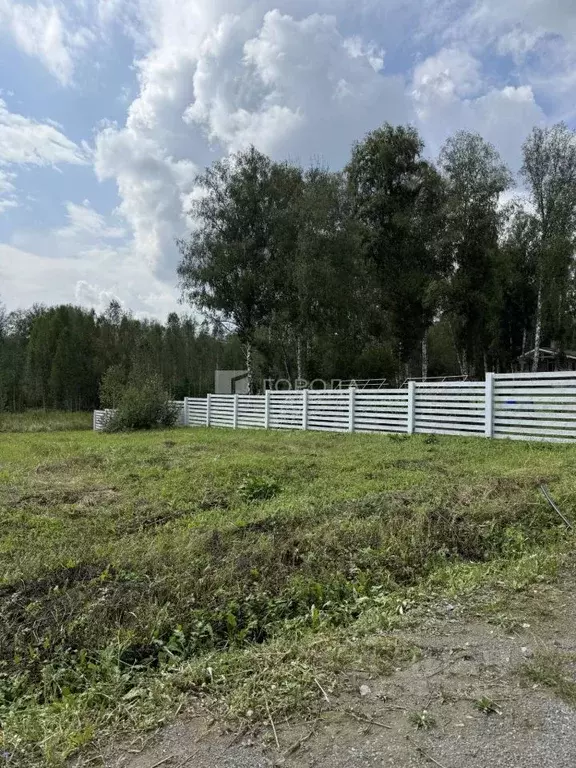 Участок в Новосибирская область, Новосибирский район, Плотниковский ... - Фото 2