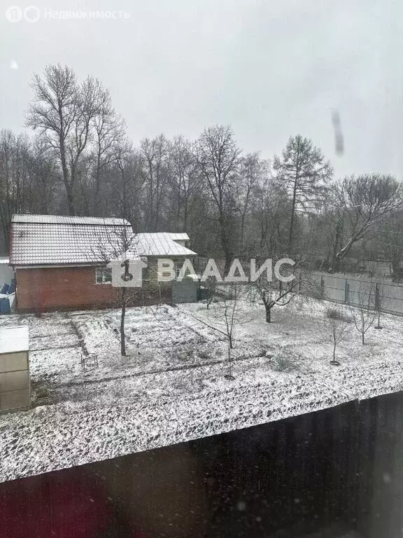 Квартира-студия: деревня Новая Купавна, 5 (23 м) - Фото 2