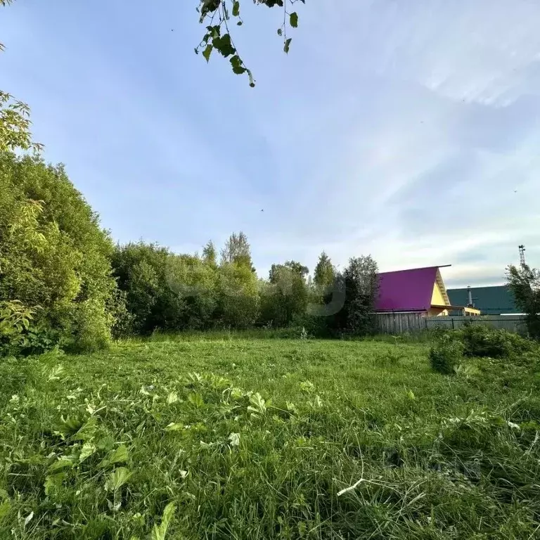 Участок в Пермский край, Добрянский муниципальный округ, д. Пеньки ... - Фото 2