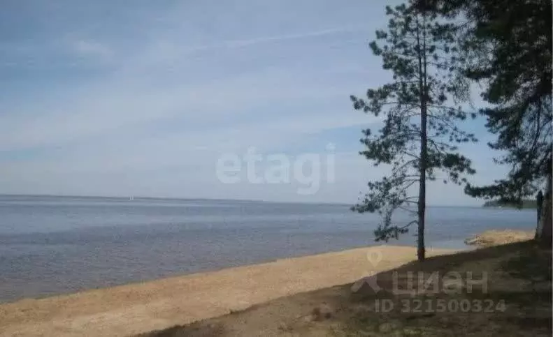 Участок в Нижегородская область, Городецкий муниципальный округ, Имени ... - Фото 1