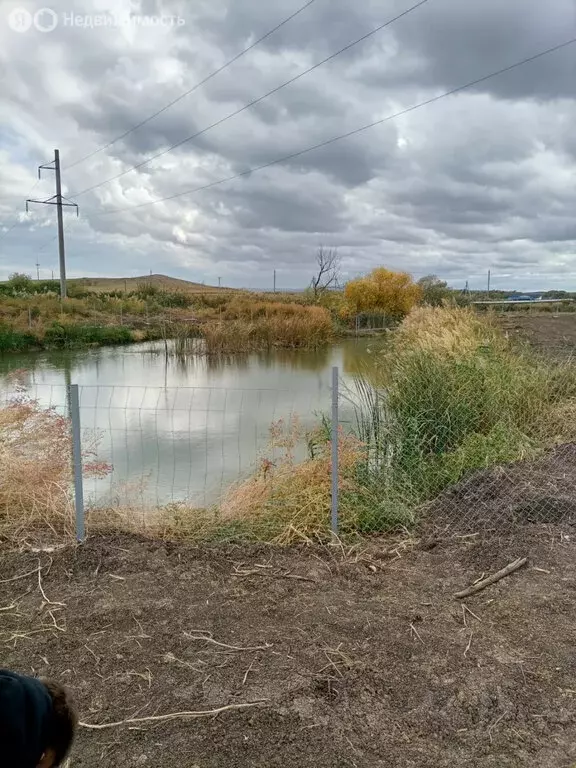 Участок в Ставропольский край, Шпаковский муниципальный округ, посёлок ... - Фото 2