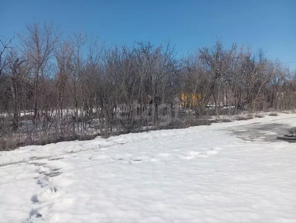 Участок в Белгородская область, Губкин Горняк-Мичуринец СТ,  (7.18 ... - Фото 2