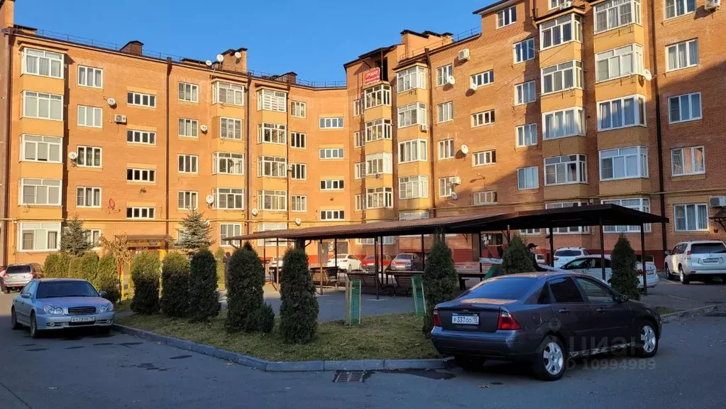 Купить Бизнес Во Владикавказе Недорого