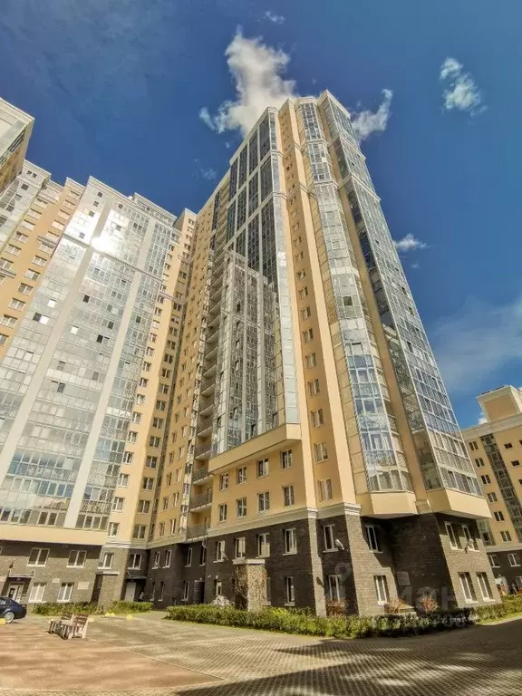 Студия Санкт-Петербург ул. Оптиков, 37 (24.1 м) - Фото 0