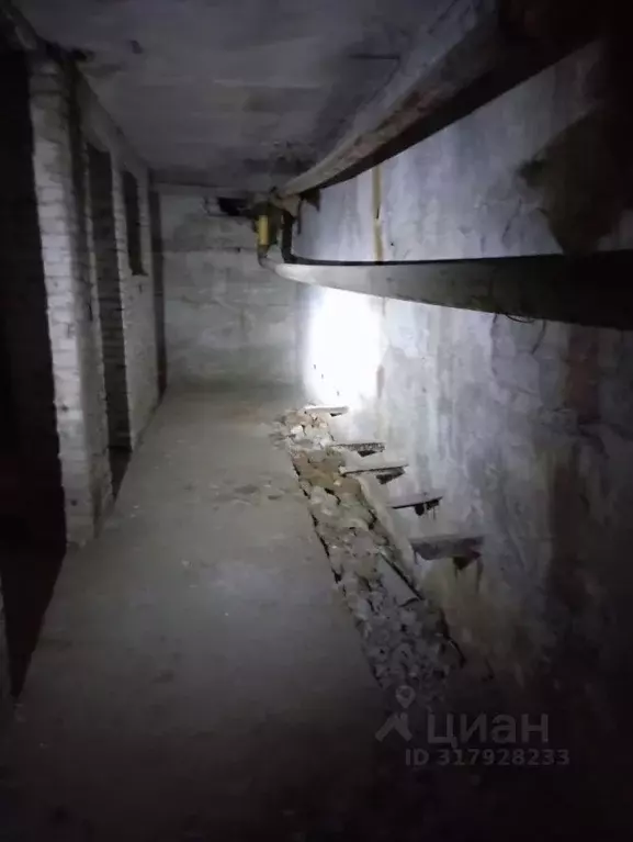 Помещение свободного назначения в Брянская область, Брянск ... - Фото 1