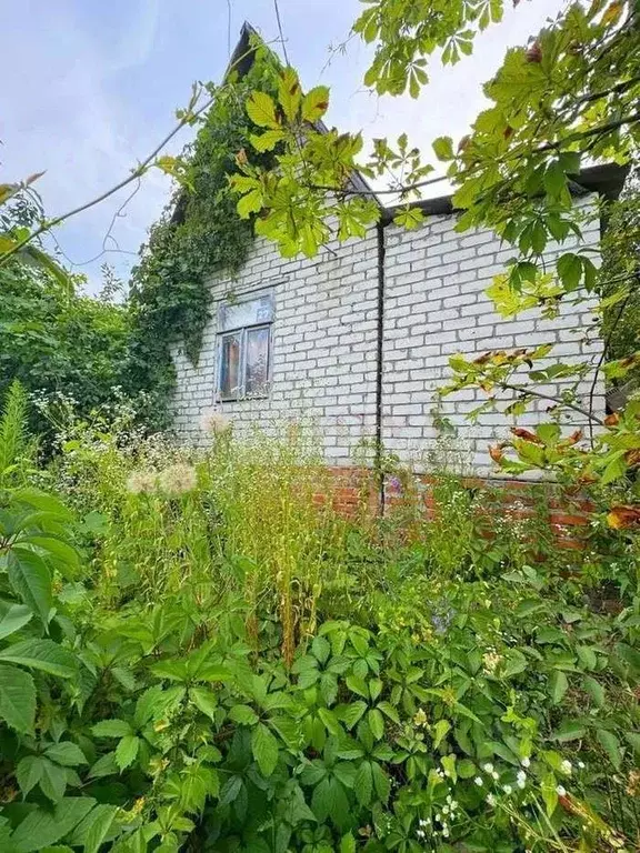 Дом в Белгородская область, Старый Оскол Лесная Поляна СНТ,  (20 м) - Фото 1