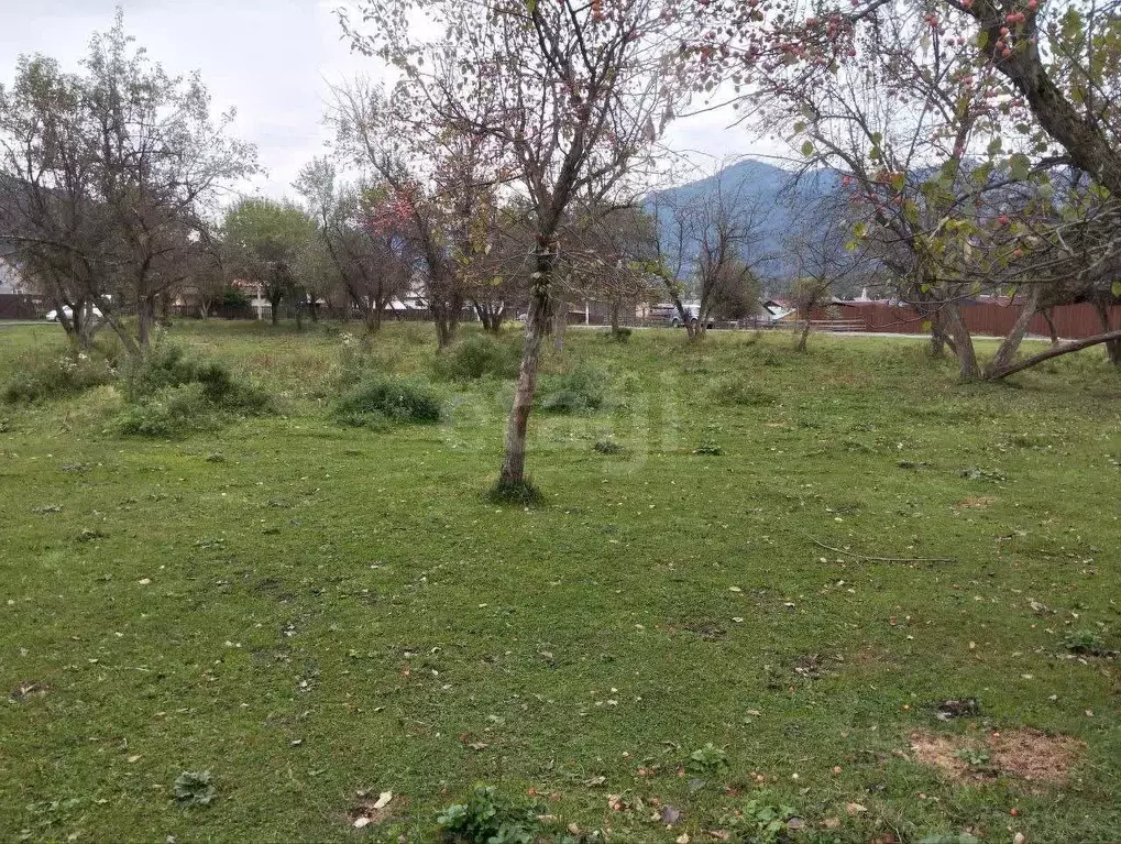 Участок в Алтай, Чемальский район, Элекмонарское с/пос, с. Элекмонар ... - Фото 1