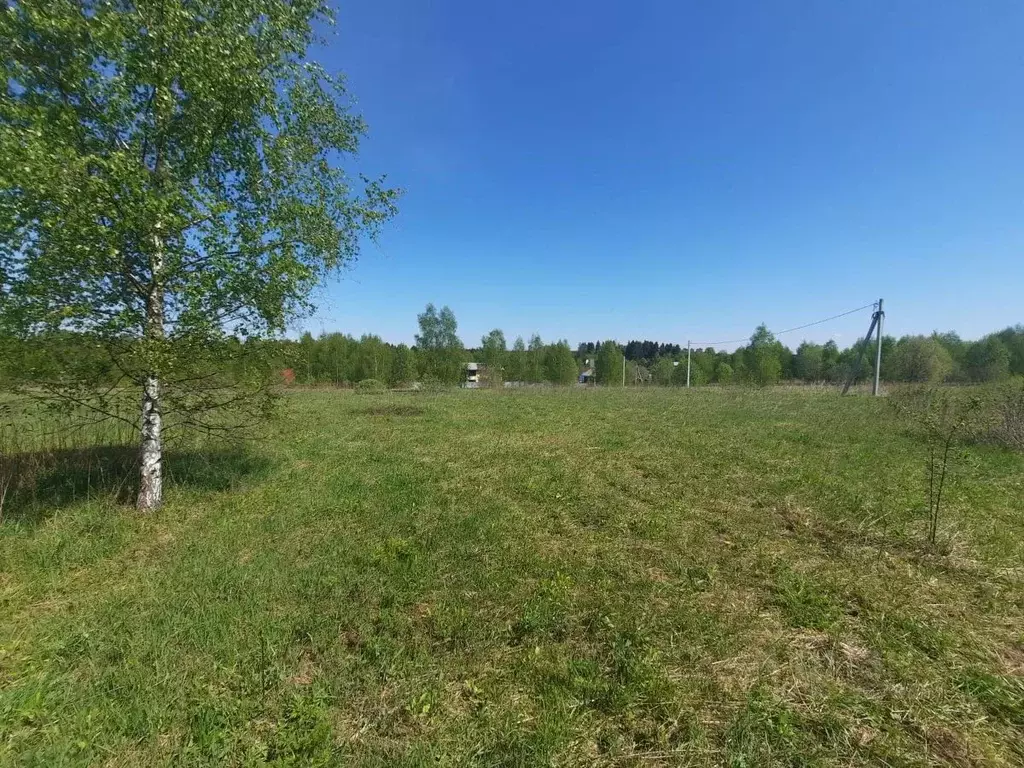 Участок в Московская область, Солнечногорск городской округ, д. ... - Фото 1