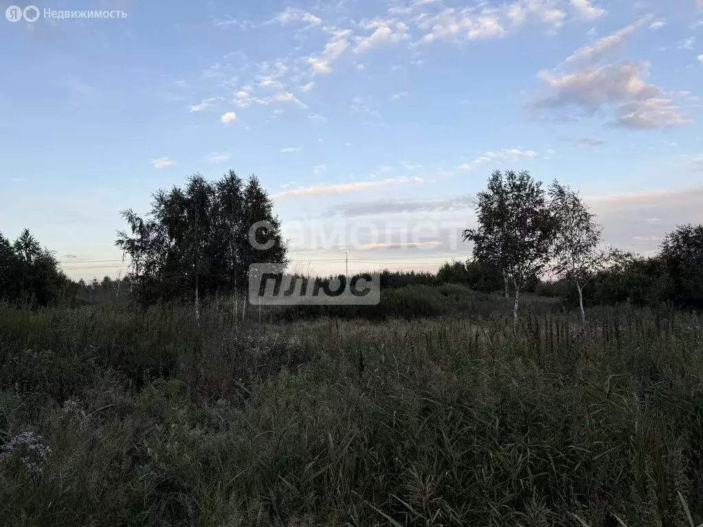 Участок в Тюмень, садоводческое некоммерческое товарищество Матрёшка ... - Фото 2