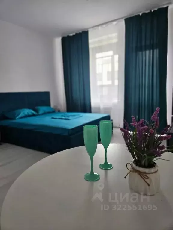 Студия Санкт-Петербург просп. Ветеранов, 196 (30.0 м) - Фото 1