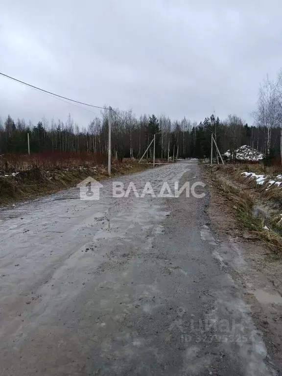 Участок в Ленинградская область, Ломоносовский район, Пениковское ... - Фото 2