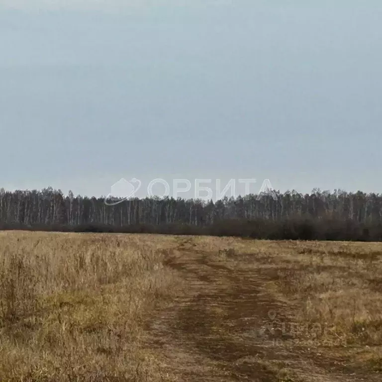 Участок в Тюменская область, Тюменский муниципальный округ, ... - Фото 2