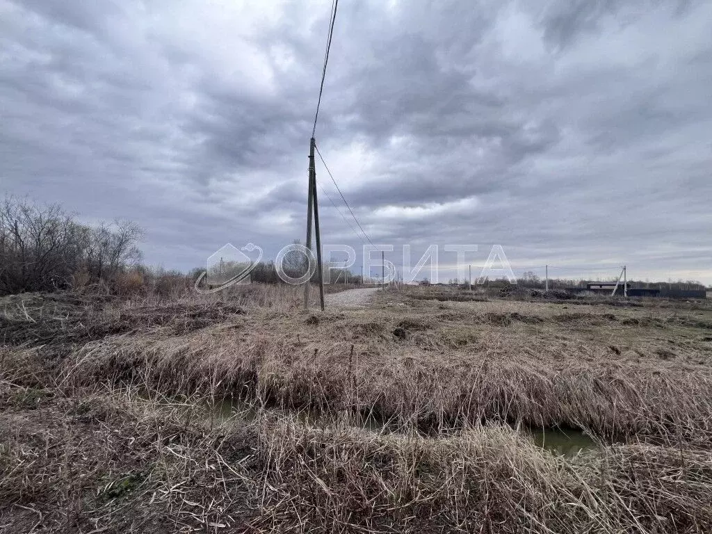 Участок в Тюменская область, Тюмень Царево садовое товарищество, ул. ... - Фото 1