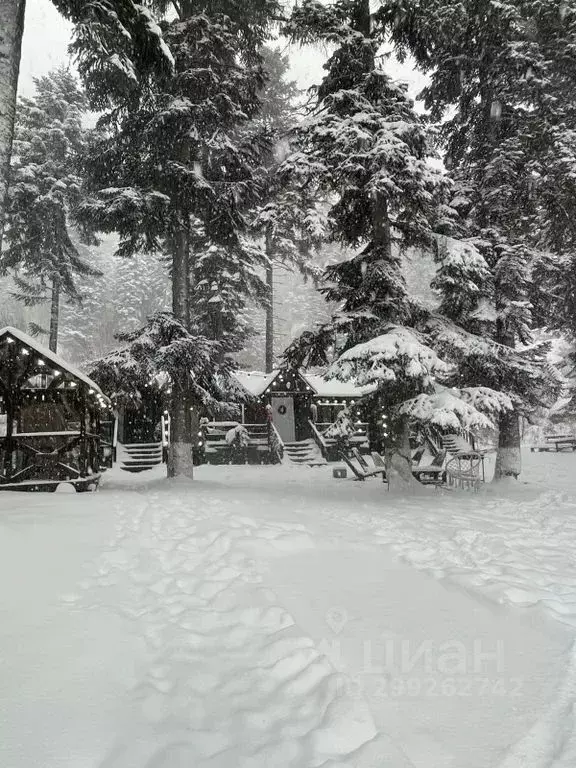 Дом в Карачаево-Черкесия, Зеленчукский район, с. Архыз ул. Ленина, 1А ... - Фото 1