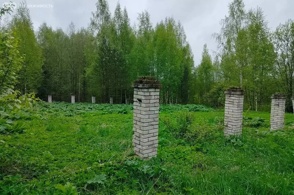 Участок в Бугровское городское поселение (15.34 м) - Фото 1