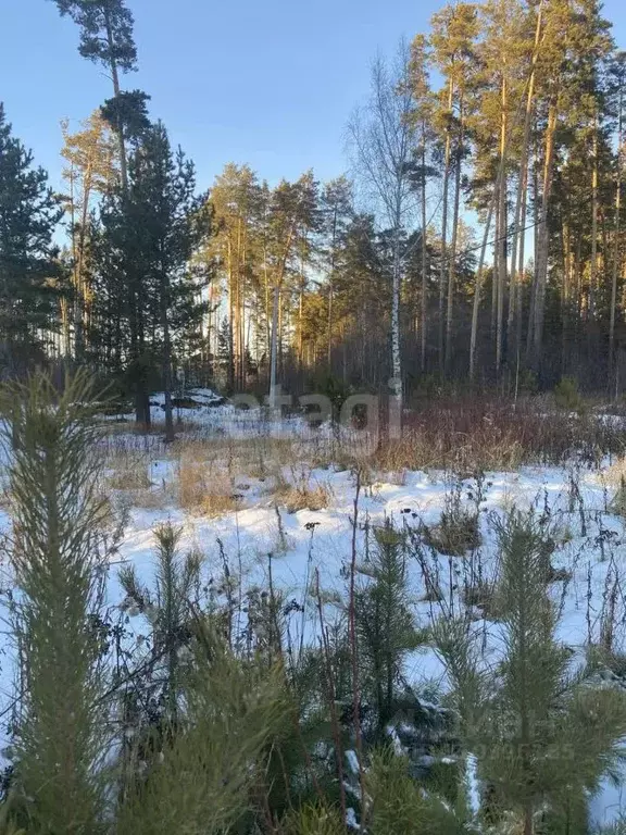 Участок в Свердловская область, Екатеринбург Усадьба-Лес ДНП,  (14.4 ... - Фото 0