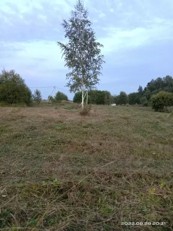 Участок в Ленинградская область, Ломоносовский район, Лопухинское ... - Фото 1