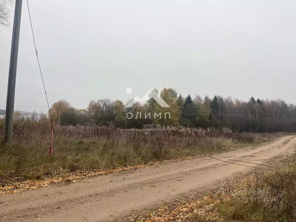 Участок в Вологодская область, Вашкинский муниципальный округ, д. ... - Фото 0