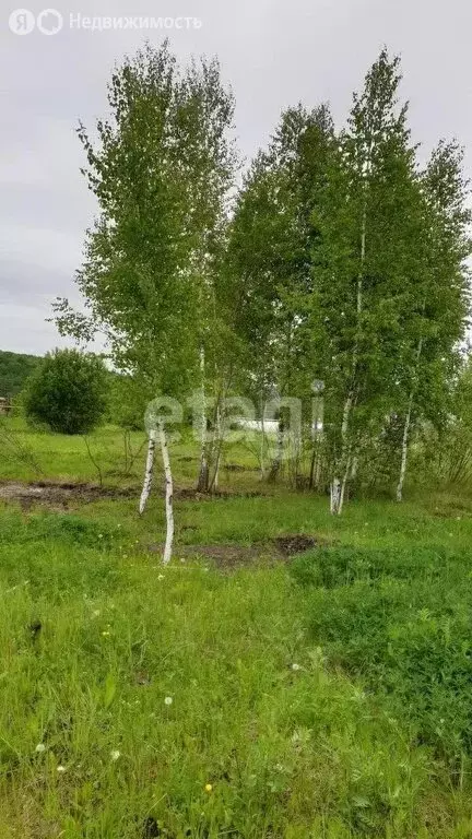 Участок в посёлок Пенькозавод, Заводская улица (37 м) - Фото 1