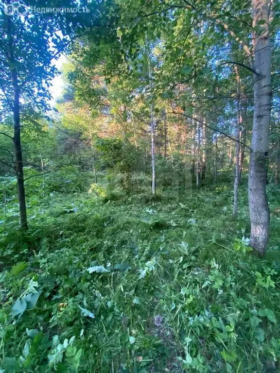 Участок в Кемеровский муниципальный округ, СНТ Надежда (10.55 м) - Фото 1