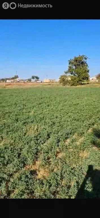 Дом в Ленинское, Садовая улица, 2 (45 м) - Фото 1