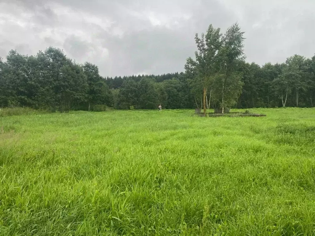 Участок в Тверская область, Калининский муниципальный округ, д. Лапино ... - Фото 0