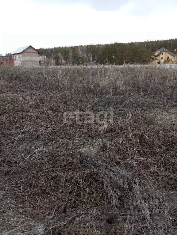 Участок в Свердловская область, Сысертский муниципальный округ, д. ... - Фото 1