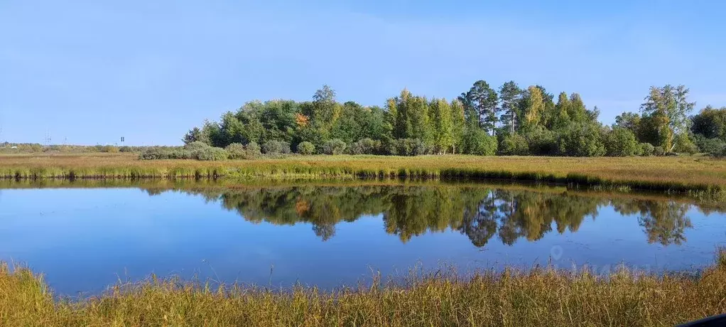 Участок в Ханты-Мансийский АО, Сургут  (50.0 сот.) - Фото 1