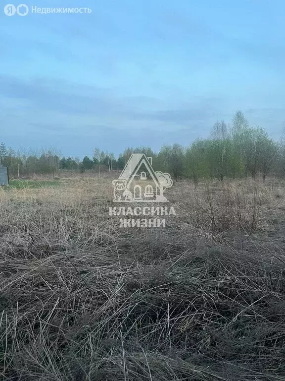 Участок в Нижегородская область, муниципальный округ Бор, деревня ... - Фото 2