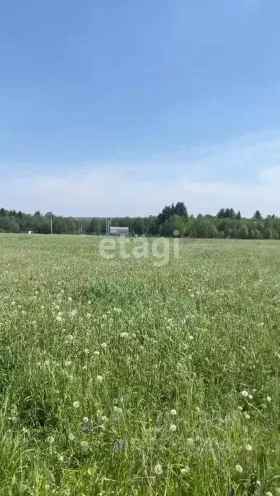 Участок в Пермский край, Краснокамский городской округ, пос. Ласьва  ... - Фото 1