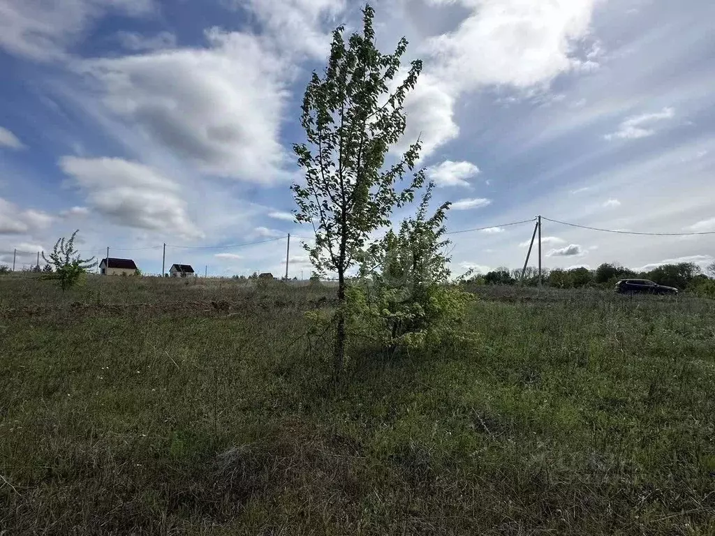 Участок в Курская область, Курский район, Моковский сельсовет, д. ... - Фото 1