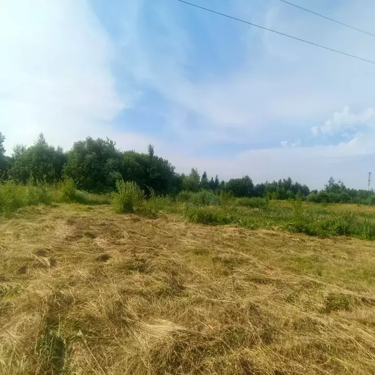Участок в Московская область, Одинцовский городской округ, д. Зайцево ... - Фото 2