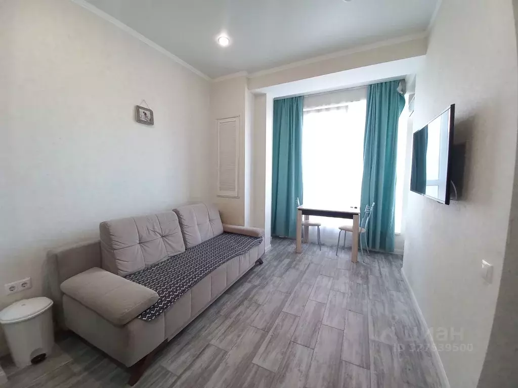 1-к кв. Краснодарский край, Сочи ул. Гастелло, 28к1 (32.5 м) - Фото 1