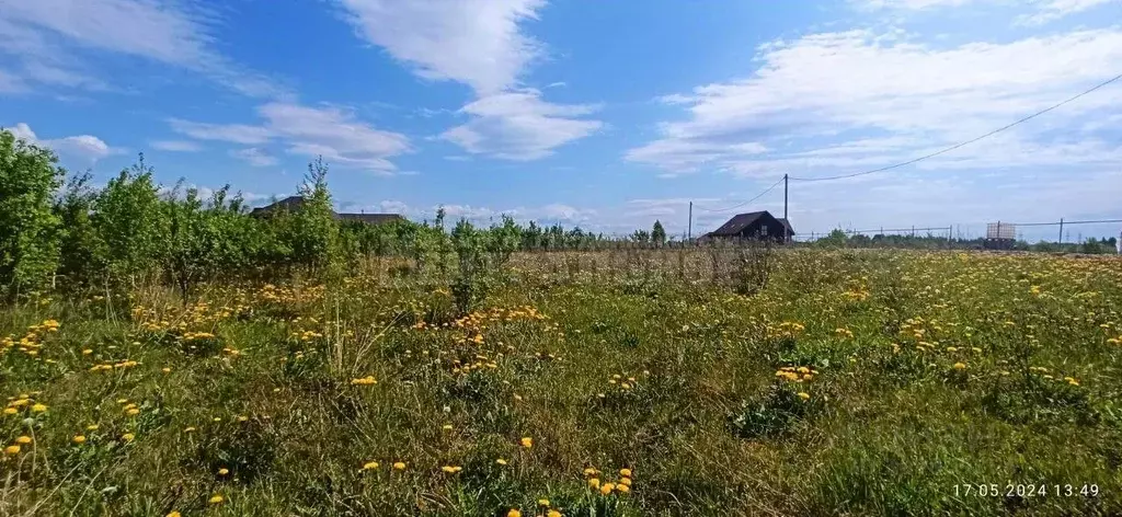 Участок в Смоленская область, Смоленский муниципальный округ, д. ... - Фото 1