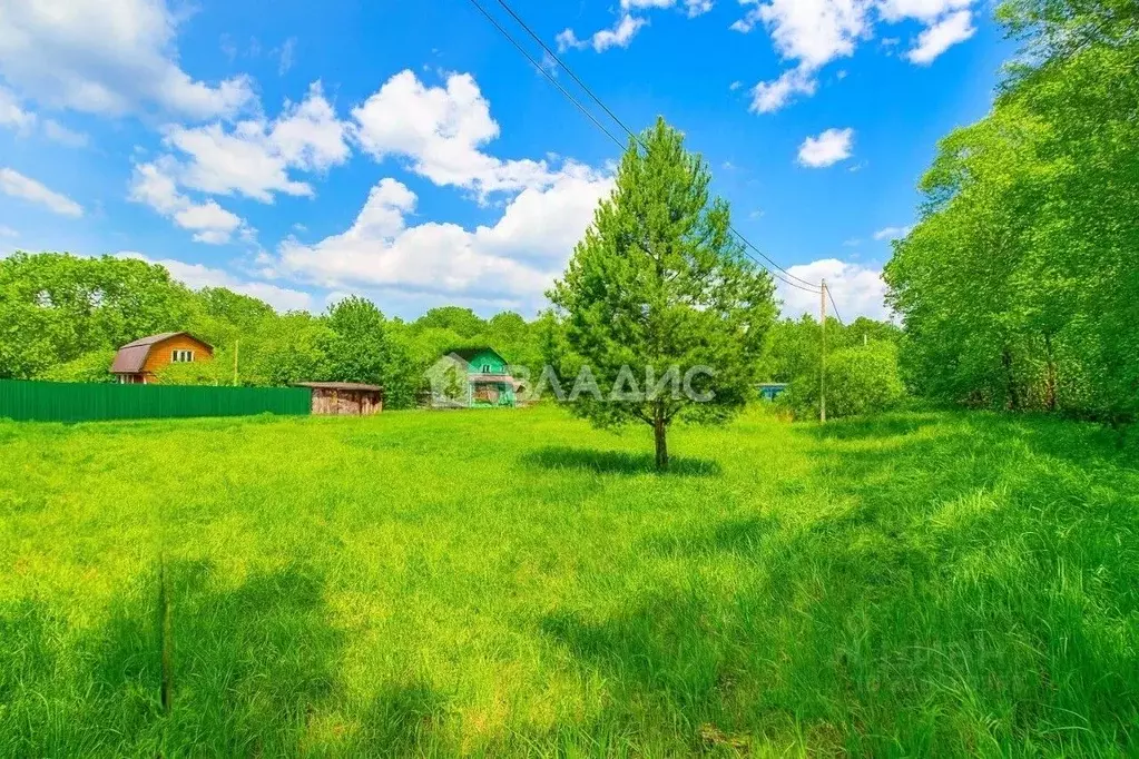 Участок в Владимирская область, Владимир Колос садовое товарищество,  ... - Фото 2