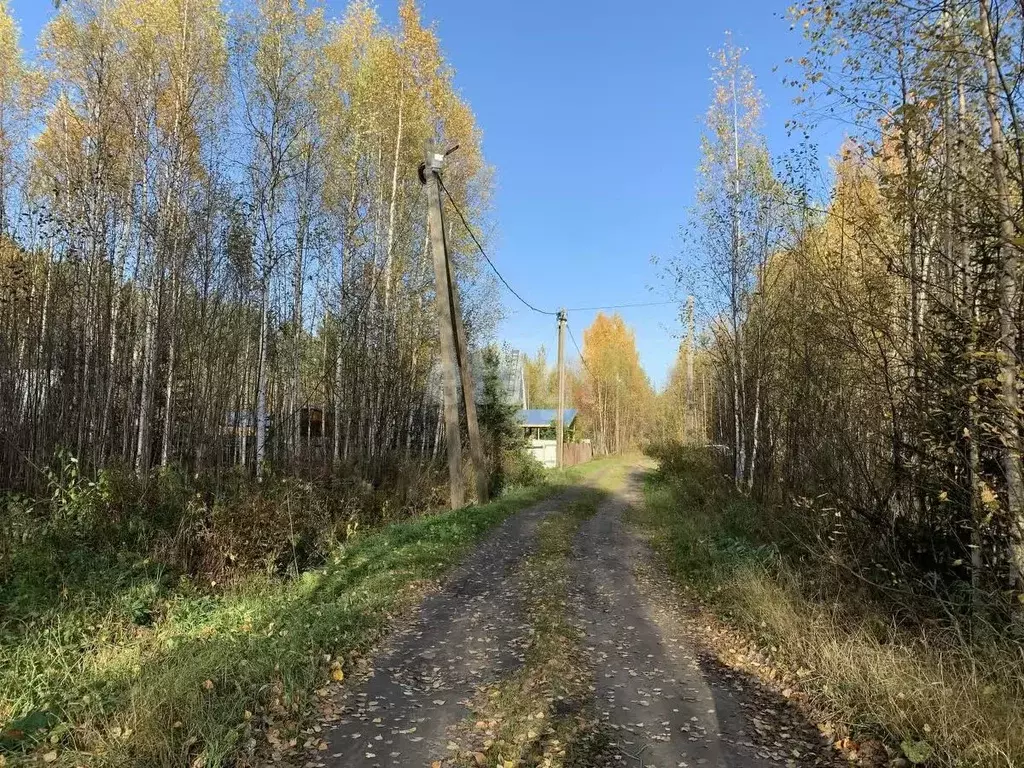 Участок в Коми, Корткеросский район, Додзь муниципальное образование, ... - Фото 0