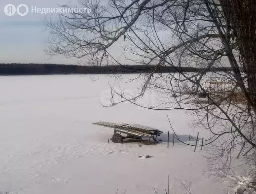 Участок в Красносельский район, Боровиковское сельское поселение, ... - Фото 2