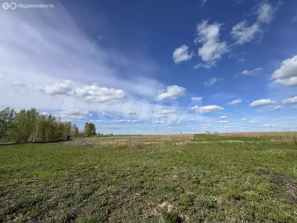 Участок в Червишевское муниципальное образование (8 м) - Фото 1